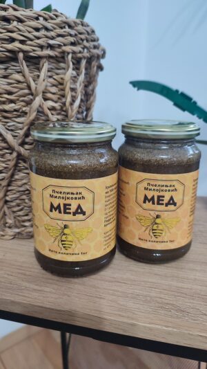 Bronhi med sa omanom i anisom